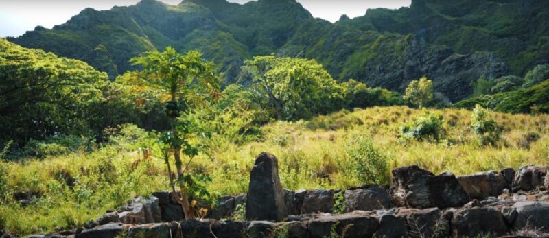 Oahu: Kualoa Open Air Jungle Expedition Tour - Value for Money