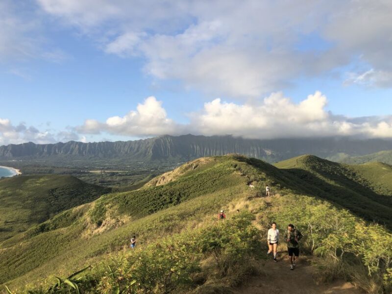 Oahu: Manoa Falls Hike and east side beach day - Practical Considerations and Tips