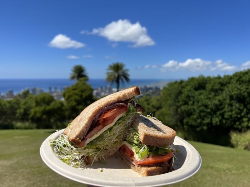Oahu: Manoa Falls Waterfall Hike with Lunch and Transfers - A Deep Dive into the Manoa Falls Waterfall Hike Experience