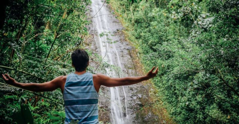 Oahu: Manoa Falls Waterfall Hike with Lunch and Transfers - Who Will Love This Tour?