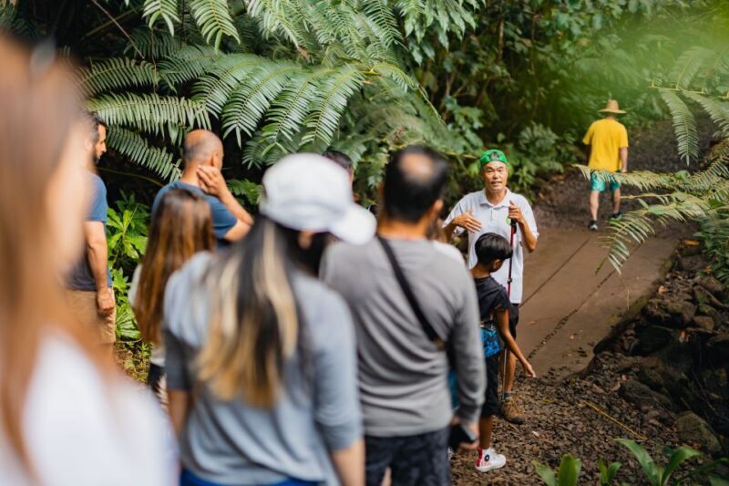 Oahu: Manoa Falls Waterfall Hike with Lunch and Transfers - FAQ