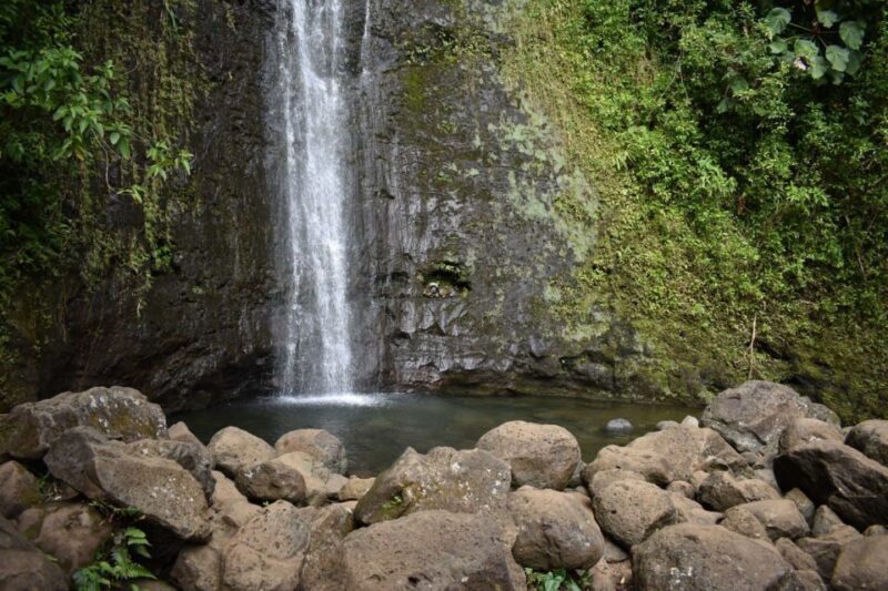 Oahu: Manoa Falls Waterfall Hike with Lunch and Transfers - Final Thoughts