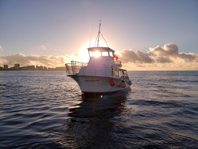 Oahu Night Dive: Adventure for Certified Divers - FAQ