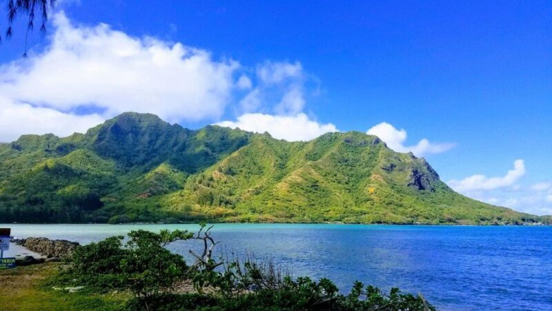 Oahu: North Shore Circle Island Small-Group Tour - Who Will Love This Tour