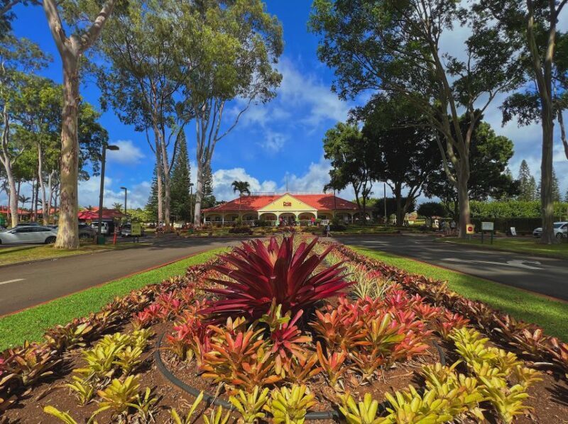 Oahu: North Shore Experience and Dole Plantation - A Deep Dive into the North Shore and Dole Plantation Tour