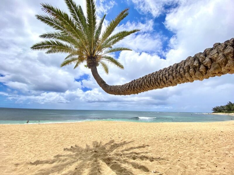 Oahu: North Shore Experience and Dole Plantation - FAQ
