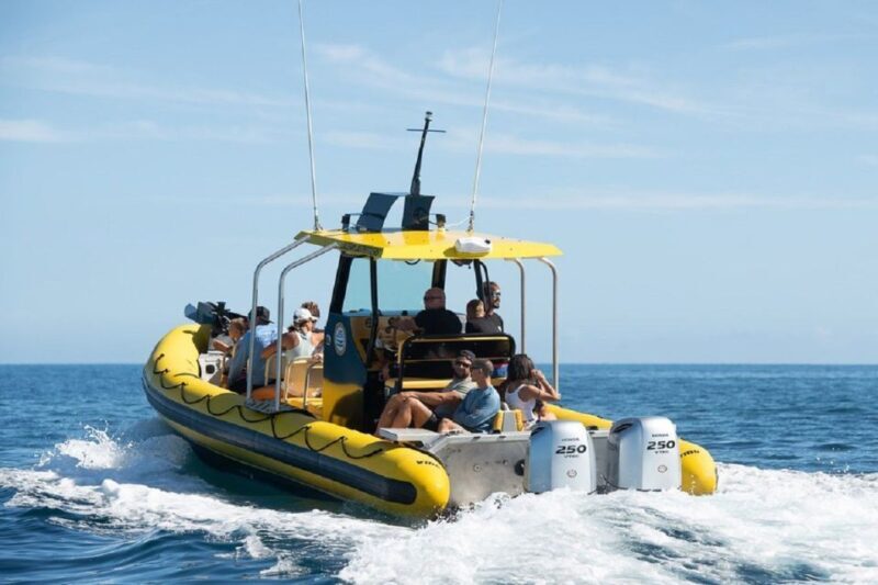 Oahu: North Shore Marine Life Tour from Haleiwa - A Deep Dive Into the North Shore Marine Life Tour
