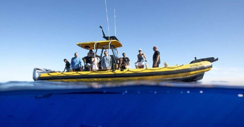Oahu: North Shore Marine Life Tour from Haleiwa - FAQs