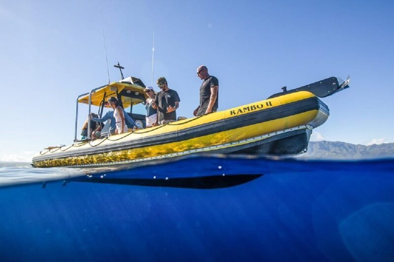 Oahu: North Shore Snorkeling Tour from Haleiwa - Key Points