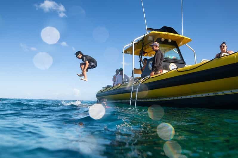Oahu: North Shore Snorkeling Tour from Haleiwa - FAQs