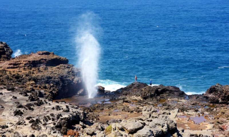 Oahu: Oahu Ultimate Grand Circle Island Tour - The Value of This Tour