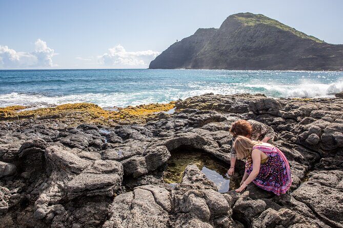 Oahu Personalized Private Tour - Authentic Insights from Travelers