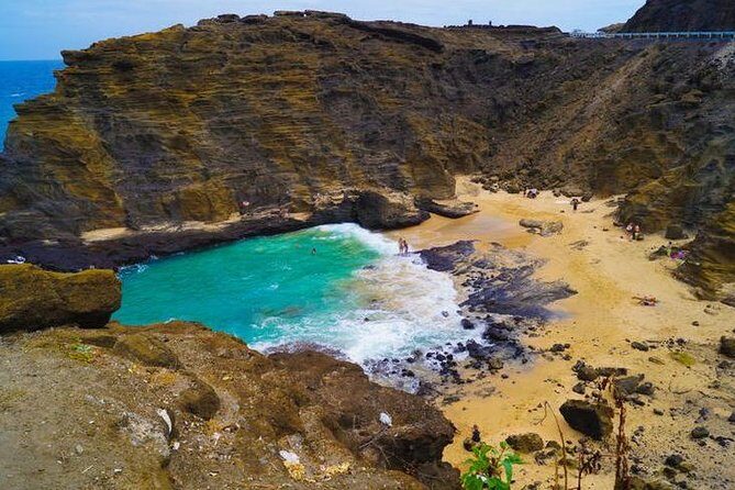 Oahu Polo Game and Private Island Tour from Honolulu - Key Points