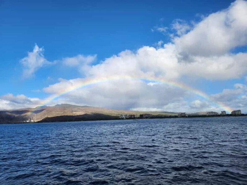 Oahu: Premium Snorkeling Cruise, Whale & Dolphin Watching - In-Depth Review of the Experience