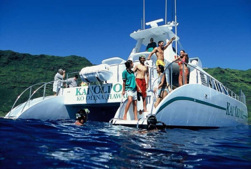 Oahu: Premium Snorkeling Cruise, Whale & Dolphin Watching - The Sum Up
