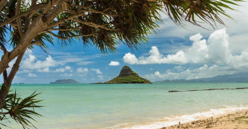 Oahu: Private Custom Island Tour - A Closer Look at the Itinerary: What to Expect