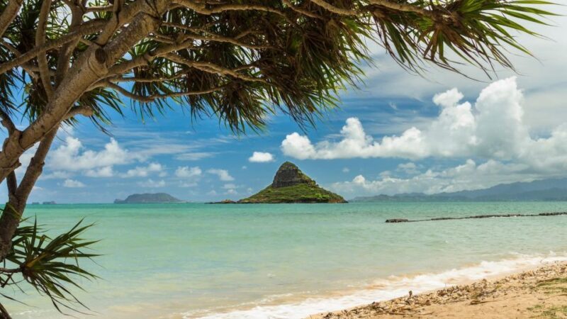 Oahu: Private Custom Island Tour - FAQ