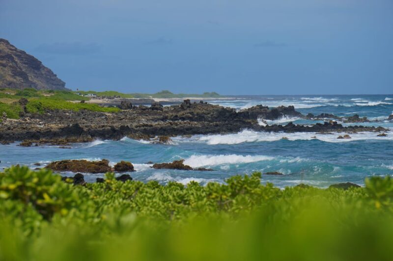 Oahu: Private Tour-Circle Island-Customizable - A Close Look at the Experience