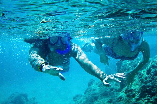 Oahu Private Tour North Shore, Waimea Falls and Dole Plantation - Final Words