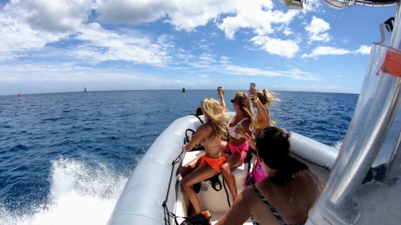 Oahu: Private Whale Watching Adventure - An Authentic Look at the Private Whale Watching Tour