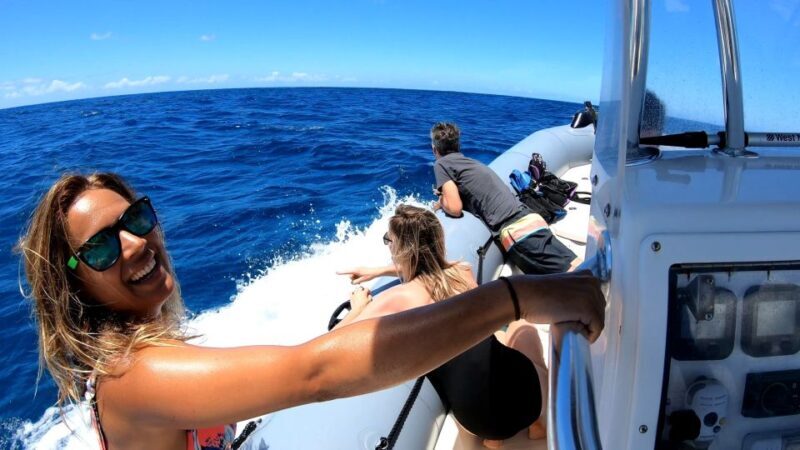Oahu: Private Whale Watching Adventure - Final Thoughts