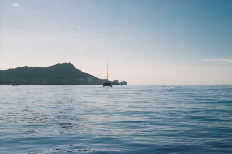 Oahu: Private Whale-Watching Tour - 6 passengers max - What Our Experience and Other Reviews Say