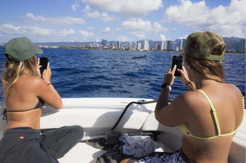 Oahu: Private Whale-Watching Tour - 6 passengers max - FAQ