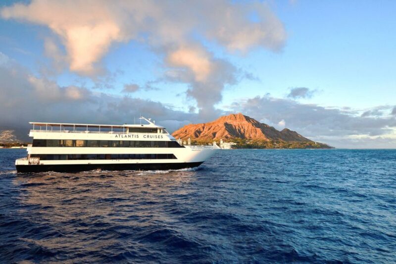 Oahu: Seasonal Whale Watch Cruise - The Sum Up