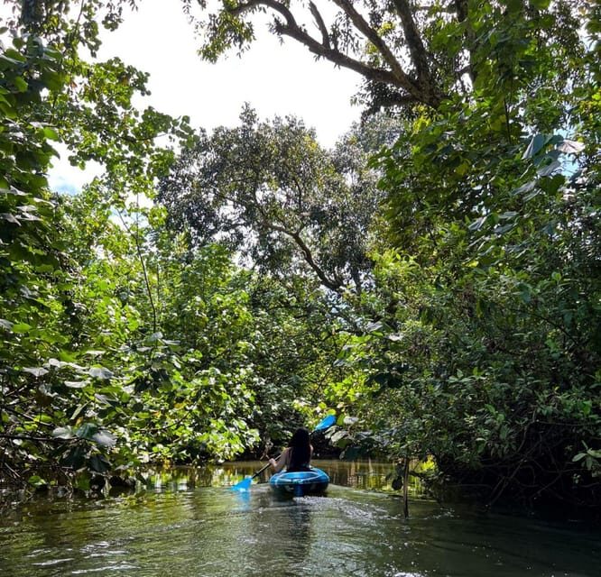 Oahu: Single & Double Kayak 3-Hour River Rental - Who Is This Tour Best For?