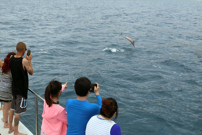 Oahu: Snorkeling and Dolphin Watch Cruise With Hawaiian Buffet - Who should consider this tour?