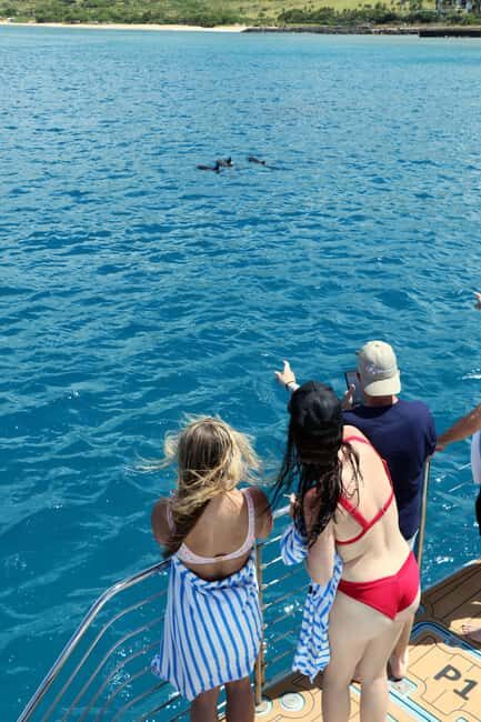 Oahu: Snorkeling & Dolphin Watch Cruise w/ Luau Style Buffet - FAQ