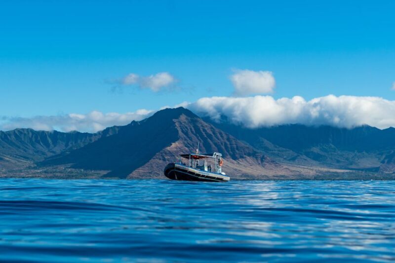 Oahu: Speedboat Snorkeling Adventure and Wild Dolphin Swim - Who Should Consider This Tour?