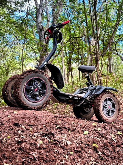 Oahu: Stand-Up ATV Adventure at Coral Crater Adventure Park - Oahu: Stand-Up ATV Adventure at Coral Crater Adventure Park