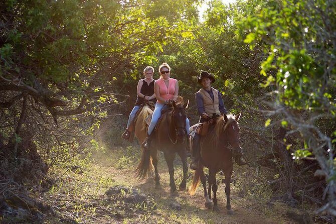 Oahu Sunset Horseback Ride - Oahu Sunset Horseback Ride: A Unique Way to Experience the North Shore