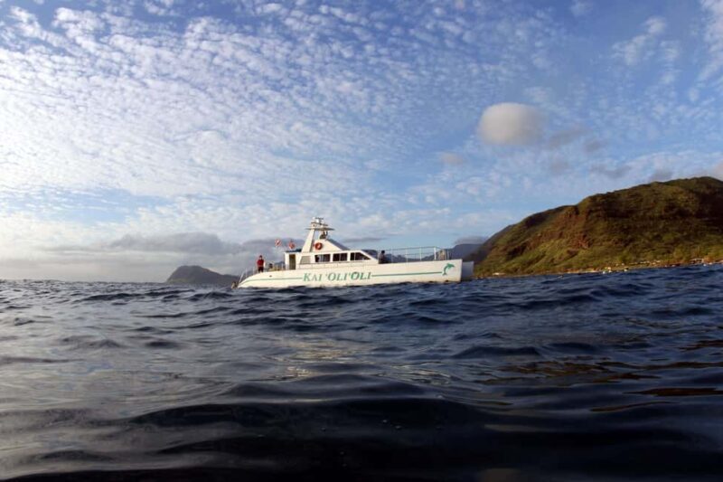 Oahu: Sunset Snorkeling, Dolphin Watch Cruise, Hawaiian meal - The Sum Up