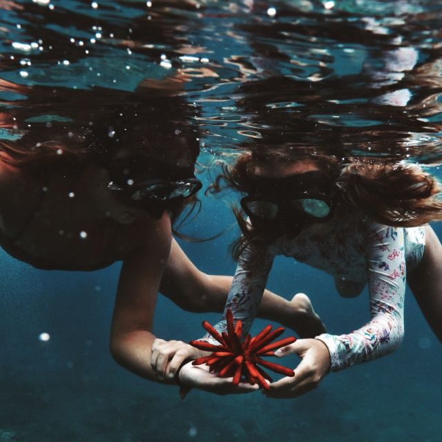 Oahu: Turtle Canyon Snorkeling Boat Tour - Introduction to the Turtle Canyon Snorkeling Experience