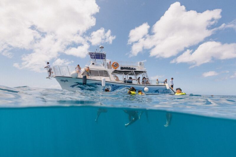 Oahu: Turtle Canyon Snorkeling & Hula Show - Oahu: Turtle Canyon Snorkeling & Hula Show
