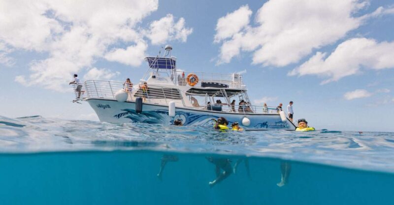 Oahu: Turtle Canyon Snorkeling & Hula Show - Key Points