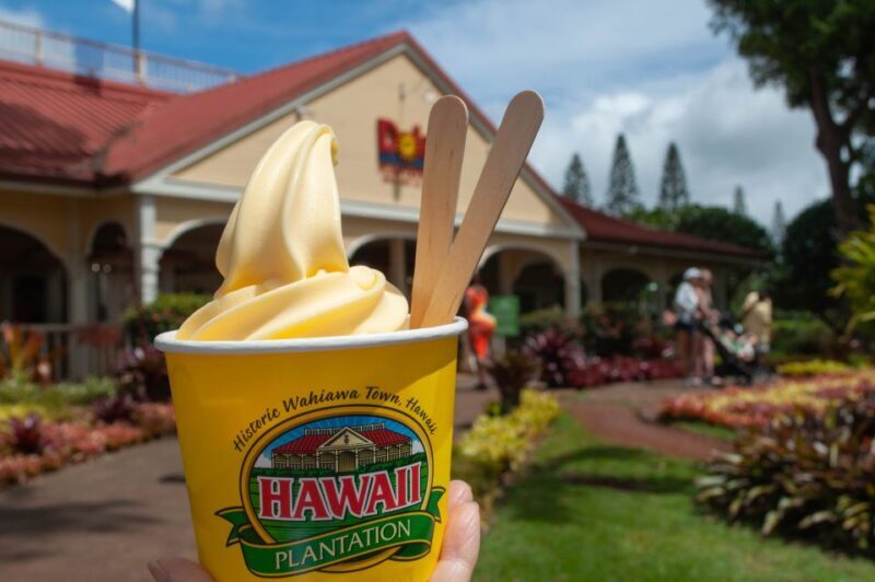 Oahu: Valley of Waimea Falls Swim & Hike with Lunch & Dole - An In-Depth Look at the Experience