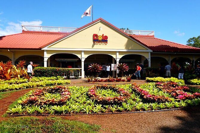 oahu VIP circle island tour,Private & LUXURY,northshore,sunset - Who Should Consider This Tour?