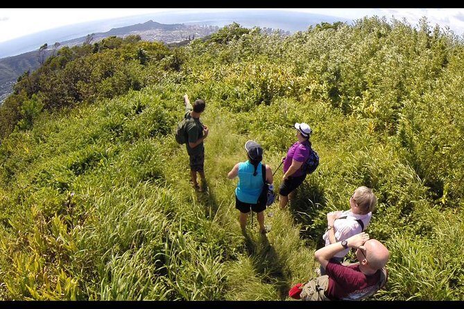 Oahu Volcanic Rainforest Hiking Adventure - Key Points