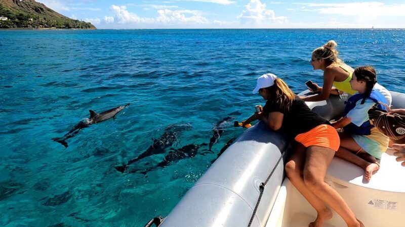 Oahu: Waikiki Private Snorkeling and Wildlife Boat Tour - Why This Tour Is a Great Choice