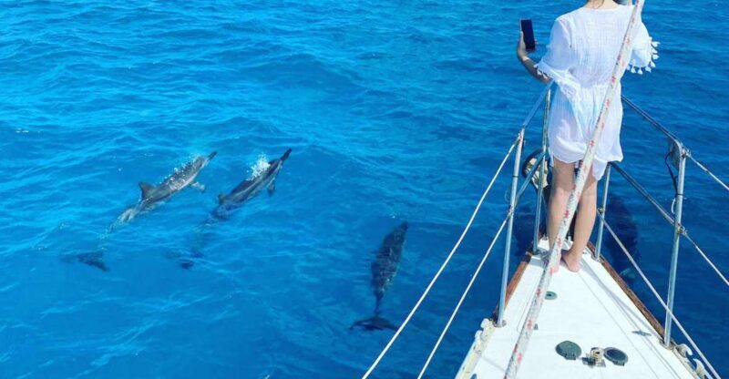 Oahu : Waikiki sailing turtle snorkeling in small groups - The Bottom Line: Is It Worth It?