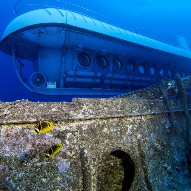 Oahu: Waikiki Submarine Tour - FAQ