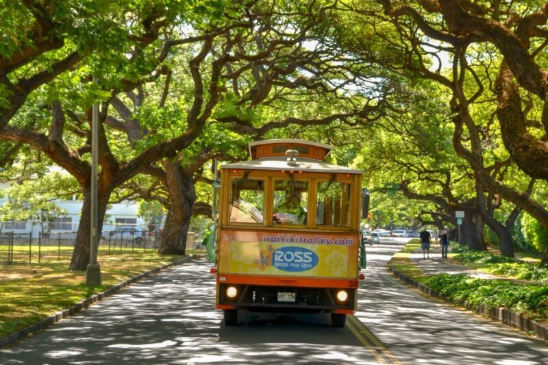 Oahu: Waikiki Trolley Hop-on Hop-off All-Line Pass - Practical tips for making the most of your trolley experience