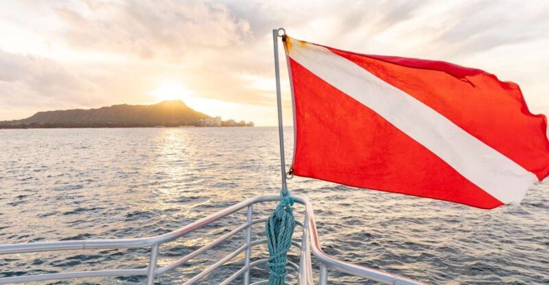 Oahu: Waikiki Turtle Canyons Cruise and Snorkel Excursion - Oahu: Waikiki Turtle Canyons Cruise and Snorkel Excursion — A Detailed Review