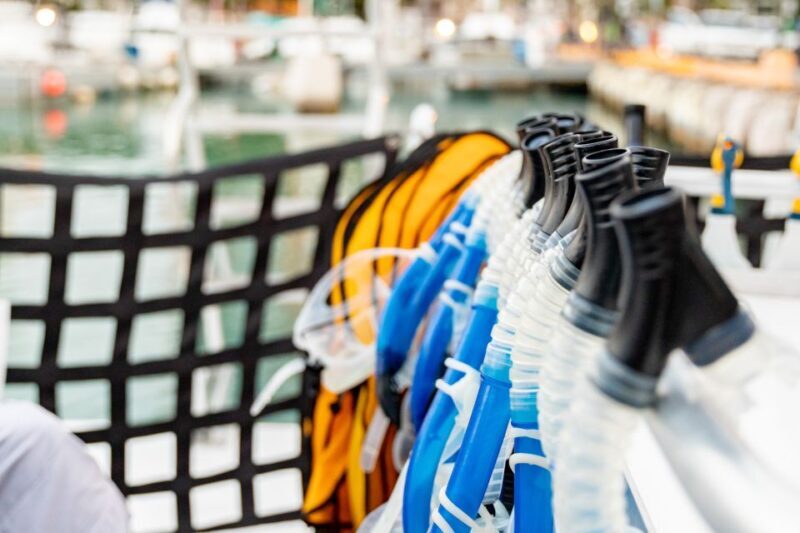 Oahu: Waikiki Turtle Canyons Cruise and Snorkel Excursion - A Deep Dive into the Waikiki Turtle Canyons Cruise