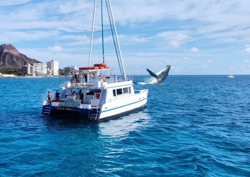 Oahu: Waikiki Whale Watching Cruise - The Itinerary and What’s Included