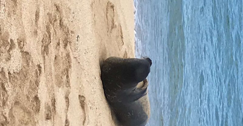 Oahu: Waimea Falls & valley & North Shore day - Breakdown of the Itinerary