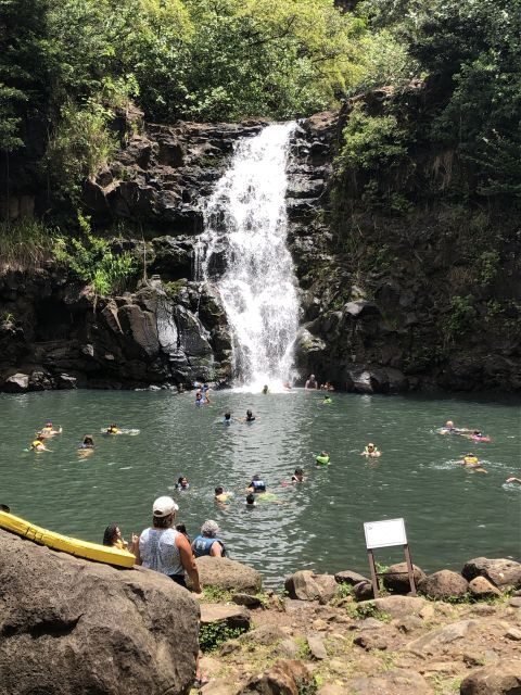 Oahu: Waimea Falls & valley & North Shore day - Practical Details and Considerations